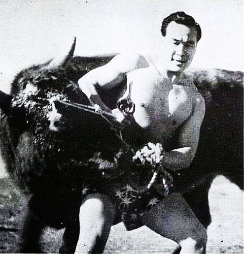 Image result for Masutatsu vs bull