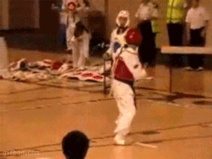 Taekwondo%20kick.gif